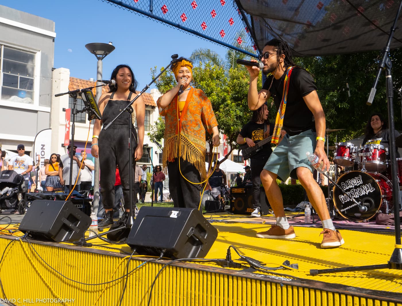 Barely Funktional band